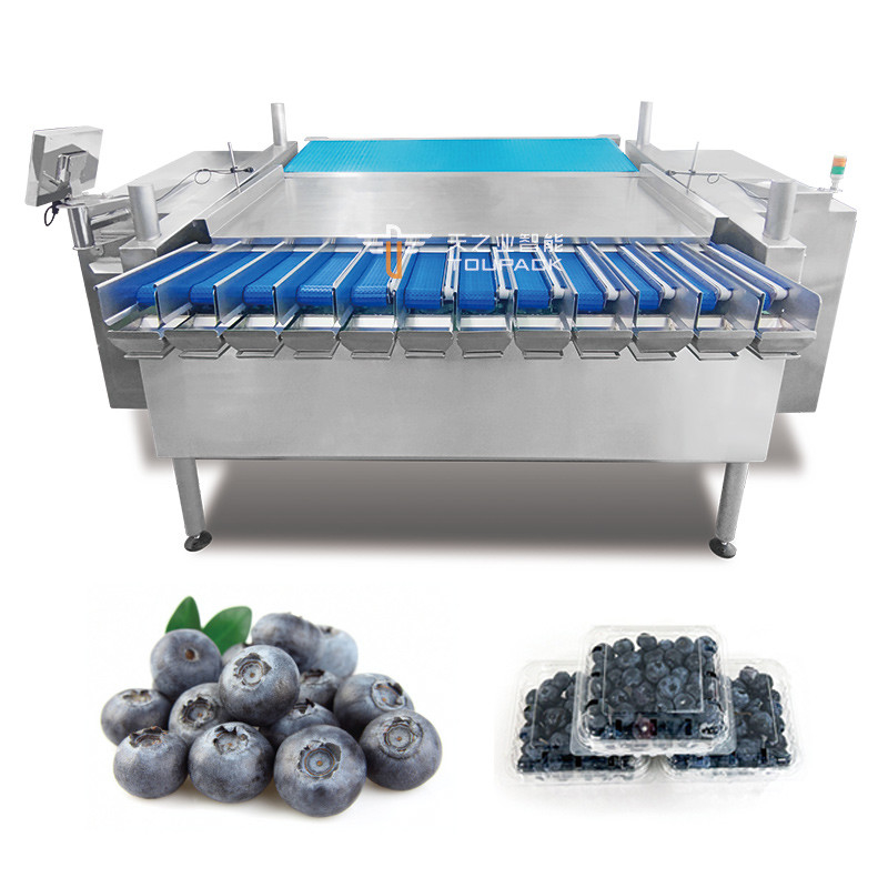 Otomatis Passion Fruit Kumquat Jujube Musim Dingin Mesin Pengemasan Kotak Plastik Blackberry Menimbang Mengisi Packing Line