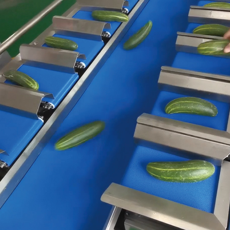 buah mangga kering Automatic Multi-Station Belt Conveyor Aquatic Sea Cucumber Fish Fillet Tabletop Target Weight Counterweight Mesin