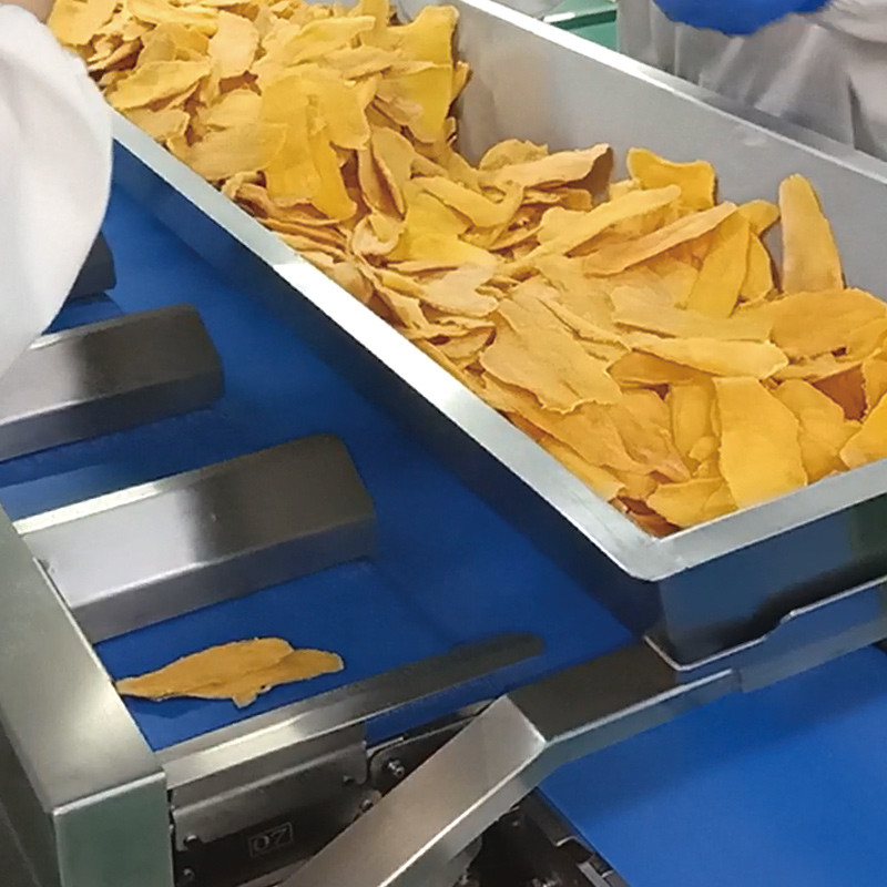 buah mangga kering Automatic Multi-Station Belt Conveyor Aquatic Sea Cucumber Fish Fillet Tabletop Target Weight Counterweight Mesin