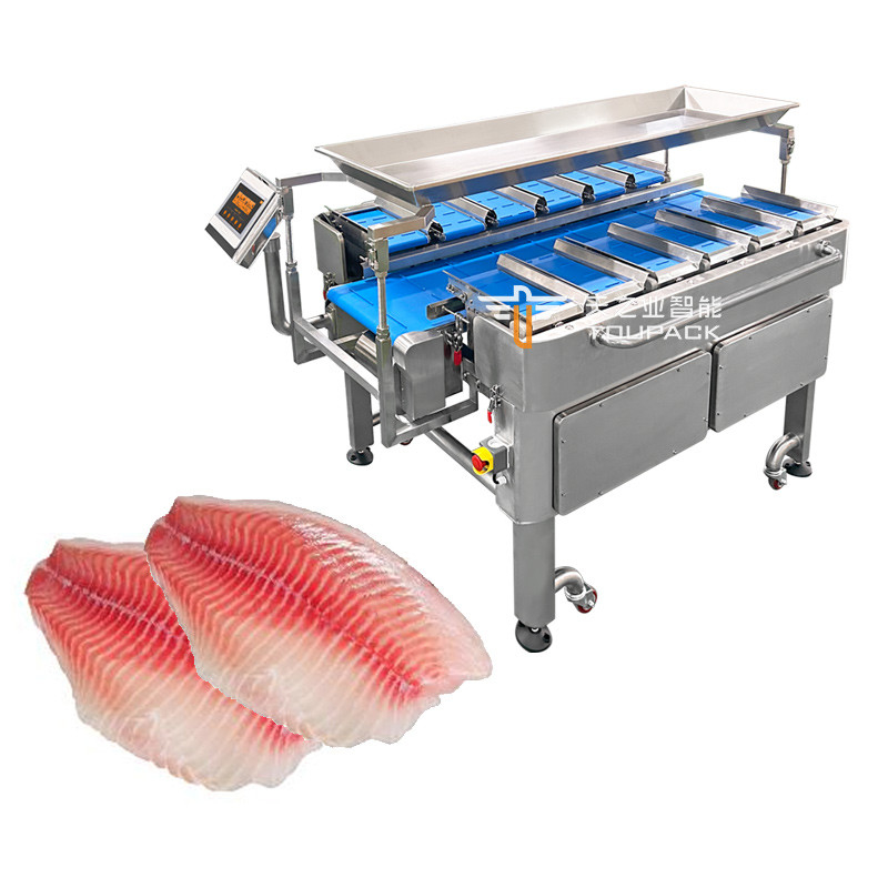 Kombinasi Multi-Fungsi Skala Penimbang Berat Tetap Mesin Pengemasan Sabuk Conveyor untuk Makanan Skala Sabuk Conveyor Generasi Baru
