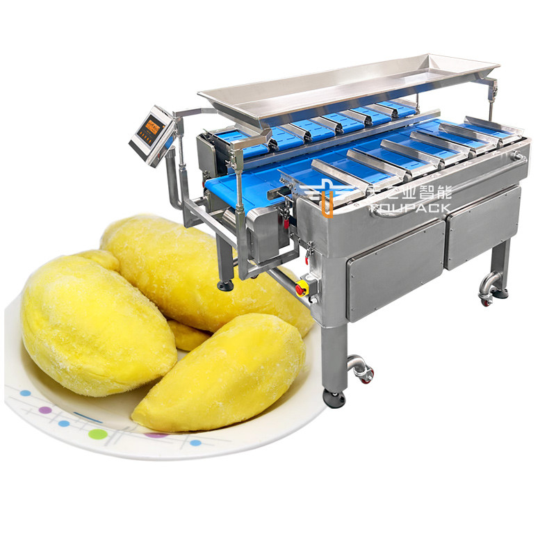 Kombinasi Multi-Fungsi Skala Penimbang Berat Tetap Mesin Pengemasan Sabuk Conveyor untuk Makanan Skala Sabuk Conveyor Generasi Baru