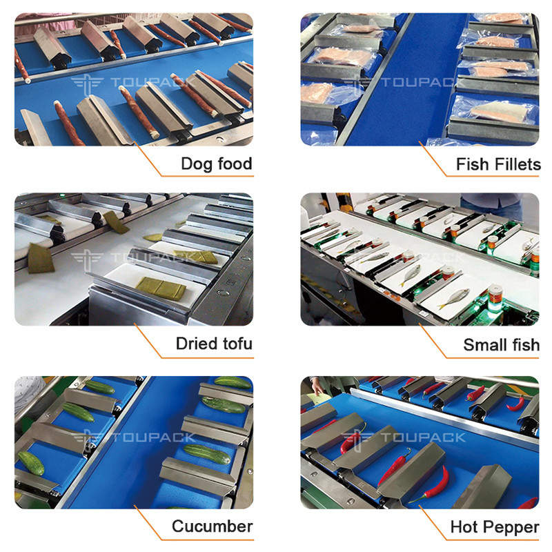 Skala Buah Skala Kombinasi Otomatis Counterweight Kuantitatif Check Weigher Conveyor Scale Belt