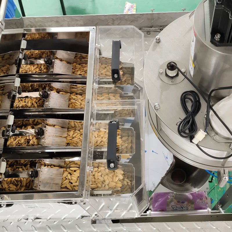 Spice Powder Packing Machine 100g 500g Taco Seasoning Powder Stand-up Pouch Packaging Machine Powder Filling and Packing Machine
