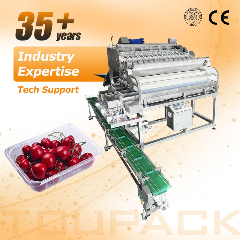 Linear Weigher Automatic Cherry Tomato Fruit Sayur Tray Sealing Packaging Line Dengan Sistem Penimbangan Presisi Tinggi