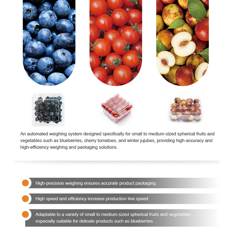 Linear Weigher Automatic Cherry Tomato Fruit Sayur Tray Sealing Packaging Line Dengan Sistem Penimbangan Presisi Tinggi