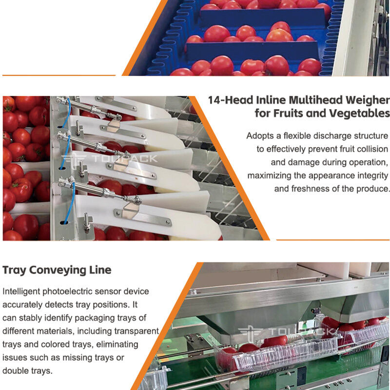 Linear Weigher Automatic Cherry Tomato Fruit Sayur Tray Sealing Packaging Line Dengan Sistem Penimbangan Presisi Tinggi