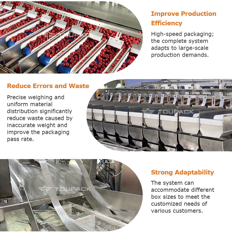 Linear Weigher Automatic Cherry Tomato Fruit Sayur Tray Sealing Packaging Line Dengan Sistem Penimbangan Presisi Tinggi