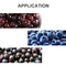 Kontrol MCU Mesin Penimbangan Dan Pengemasan Untuk Blueberry Cherry Tomatoes Raspberry