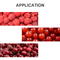 Kontrol MCU Mesin Penimbangan Dan Pengemasan Untuk Blueberry Cherry Tomatoes Raspberry