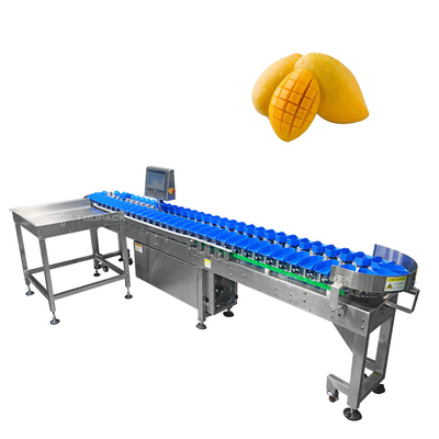 Stainless Steel 304 Mesin Sortasi Ukuran Otomatis Untuk Grading Sayuran Buah Mangga