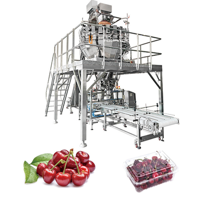 Otomatis Buah Sayuran wortel Citrus Raspberry Nektarines Tray Mesin kemasan kemasan horizontal