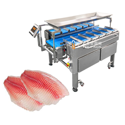 Kombinasi Multi-Fungsi Skala Penimbang Berat Tetap Mesin Pengemasan Sabuk Conveyor untuk Makanan Skala Sabuk Conveyor Generasi Baru