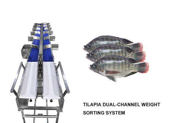 Mesin Penyortir Multihweight Tahan Air 12 Kelas Untuk Makanan Segar Ikan / Sosis / Kuning