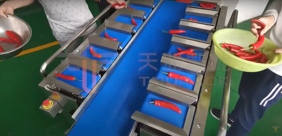 Chili Carrot Food Grade Siemens Belt Weigher Untuk Produk Tidak Beraturan