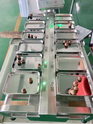 Timbangan Kombinasi Makanan Meja 12 Kepala Timbangan Stainless Steel 304