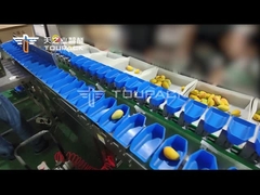 Stainless Steel 304 Mesin Sortasi Ukuran Otomatis Untuk Grading Sayuran Buah Mangga
