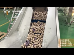 TOUPACK Sistem Penimbang dan Pengemasan Bola Daging Beku