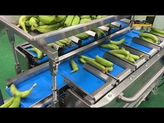 Pabrik Industri Semi Otomatis Mesh Net Bag Berat Penghitungan Netting Clipping Packing Packing Machine
