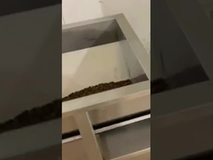 Mesin pengemasan biji kopi linear penimbang
